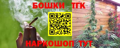 молекула духа Будённовск