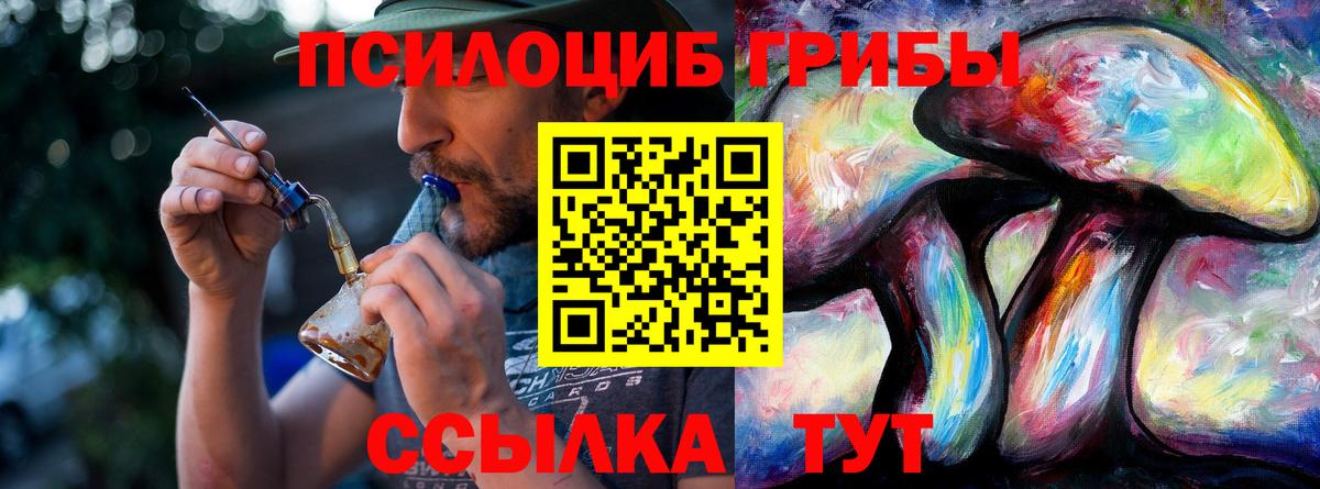 Псилоцибиновые грибы Magic Shrooms Копейск