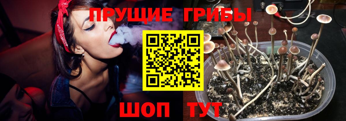 Псилоцибиновые грибы мухоморы  Вход с VPN  Копейск 